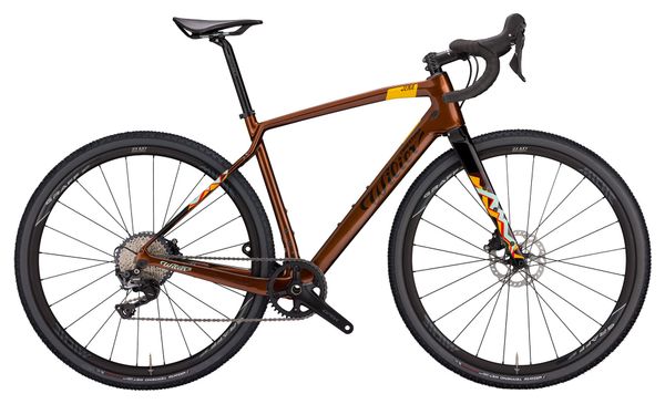 Wilier Triestina Jena Bicicleta de gravilla Shimano GRX 11S 700 mm Dibujo Bronce Brillante 2023