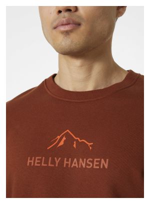 Helly Hansen F2F Organic Cotto Herren T-Shirt