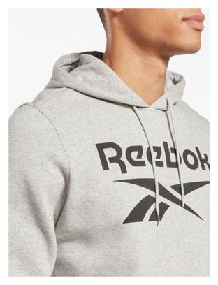 Sudadera con <p>capucha</p>Reebok Big Logo Gris