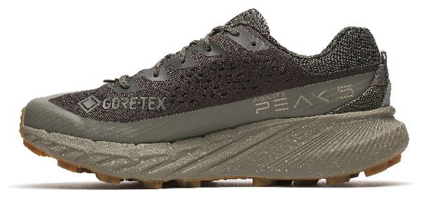 Chaussures Trail Merrell Agility Peak 5 GTX Gris/Violet Homme