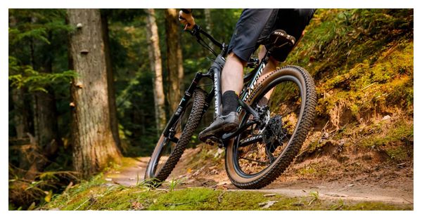 Teravail Ehline 27.5'' MTB Tire Tubeless Ready Foldable Light & Supple Tan Sidewall