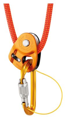 Poulie-bloqueur Petzl Micro Traxion