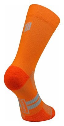 Seven Mile Orange Sporcks