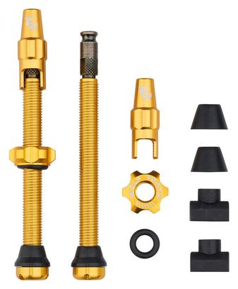 Wolf Tand Tubeless ventielen met Clik ventiel goud