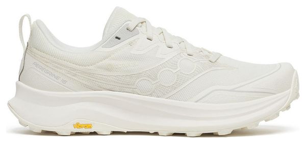 Chaussures Trail Saucony Peregrine 16 GTX Blanc Homme