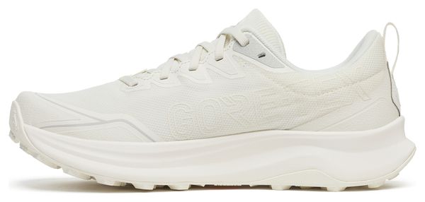 Chaussures Trail Saucony Peregrine 16 GTX Blanc Homme