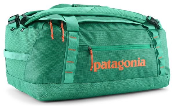 Bolsa de viaje Patagonia Black Hole Duffel 40L Verde