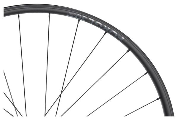 Newmen Forge 30 Light 29'' Hinterrad | Boost 12x148 mm | 6-Loch