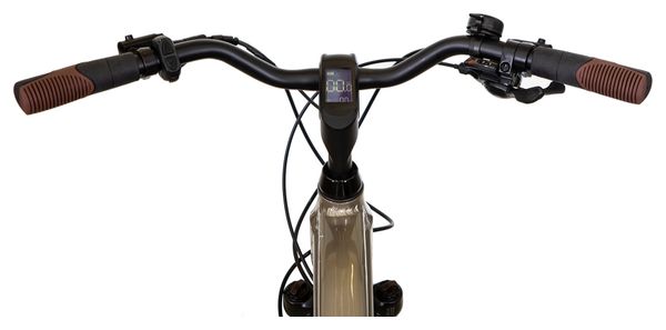 Bicyklet Basile Elektro-Stadtfahrrad Shimano Acera/Altus 8S 504 Wh 700 mm Grau