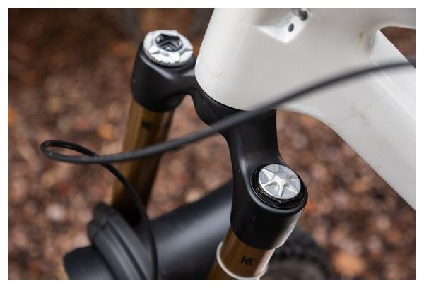 OAK Vorkkap Luchtkleppendeksel voor Fox/Rockshox vorken Zilver