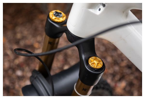 OAK Forkcap Air Valve Cover for Fox/Rockshox Forks Gold