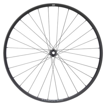 Newmen Forge 30 Light 29'' Vorderrad | Boost 15x110 mm | 6-Loch