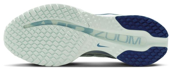 Nike Pegasus Premium hardloopschoenen voor dames, groen/blauw