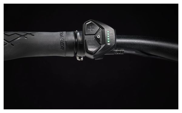 Vélo de Ville Électrique Trek FX+ 2 Shimano Altus 9V 250 Wh 700 mm Vert Sauge