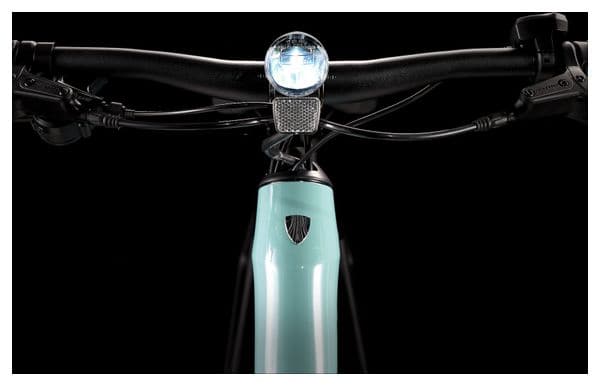 Vélo de Ville Électrique Trek FX+ 2 Shimano Altus 9V 250 Wh 700 mm Vert Sauge 2023