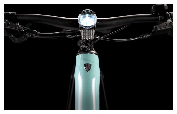 Vélo de Ville Électrique Trek FX+ 2 Shimano Altus 9V 250 Wh 700 mm Vert Sauge