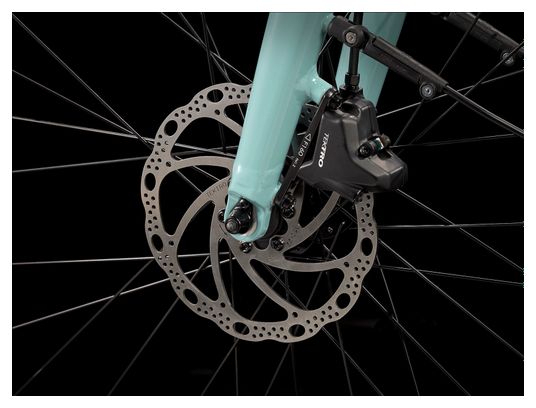 Vélo de Ville Électrique Trek FX+ 2 Shimano Altus 9V 250 Wh 700 mm Vert Sauge