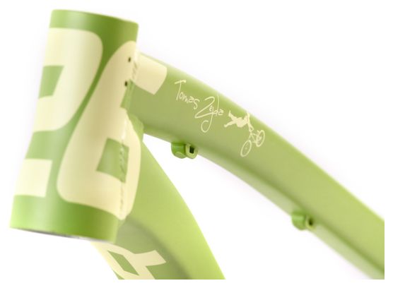 Cadre VTT Dartmoor Two6Player Pro 26'' Vert Mat