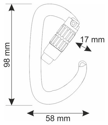 CAMP Orbit 2Lock Grey carabiner