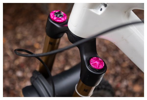 OAK Forkcap Air Valve Cover for Fox/Rockshox Forks Pink
