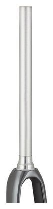 Trek Rigid Fork 2021 Domane AL 5 700c Grey
