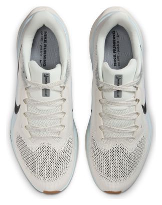 Nike Pegasus 41 Beige/Blue Men's Running Shoes