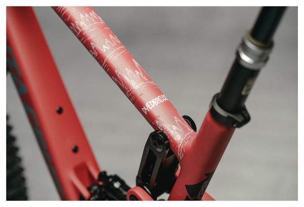 Dyedbro EWS Mountain Frame Pellicola protettiva bianca