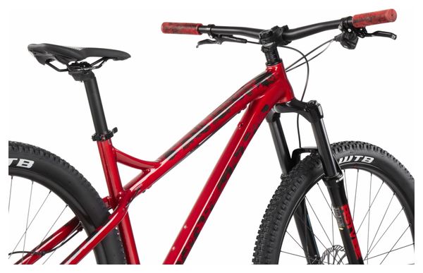 Dartmoor Primal Intro 29 MicroSHIFT Advent 9V 29'' Hardtail Mountainbike Rot 2021