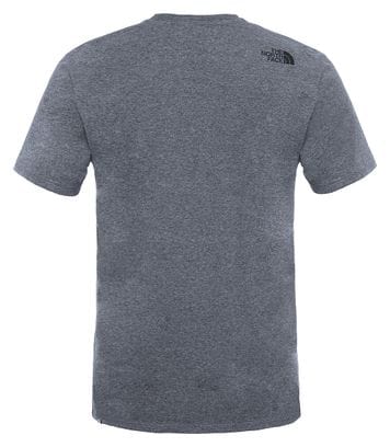 T-Shirt The North Face Easy Gris