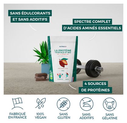 PROTÉINE VEGAN BIO - MASSE MUSCULAIRE - ALTERNATIVE À LA WHEY - GOÛT CACAO -500G