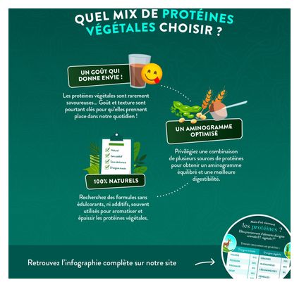 Protéine Vegan BIO - Masse Musculaire - Goût Cacao - 500G