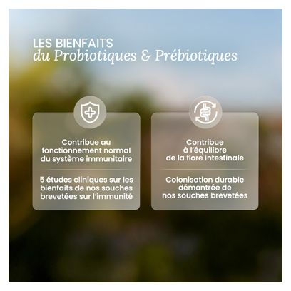 Probiotiques & Prébiotiques - 60 milliards d'UFC - 60 gélules