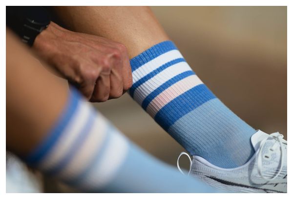 Incylence Merino Strive Socks Blue/Pink