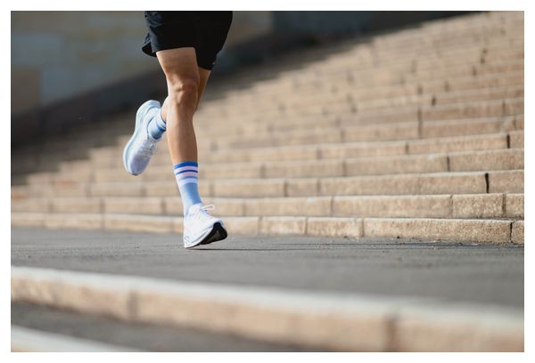 Chaussettes Incylence Merino Strive Bleu/Rose