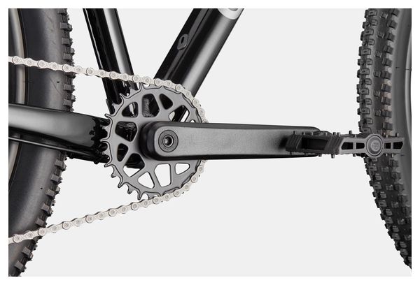 Mountainbike Semi-Rigid Cannondale Trail 2 Shimano Cues 9v 27.5'' Schwarz 2025