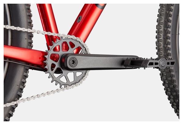 VTT Semi-Rigide Cannondale Trail 2 Shimano 9v 27.5'' Rouge 2025