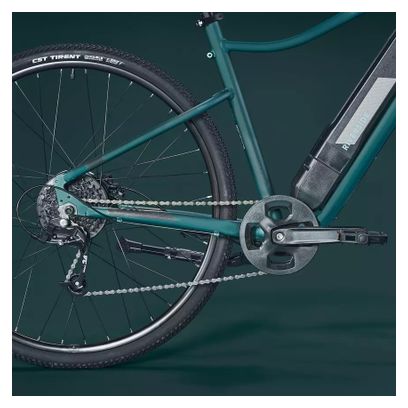 Riverside 500 E bicicletta ibrida elettrica 8S 418 Wh verde