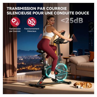Vélo d'appartement Silencieux 4kg Roue d'Inertie Cardio