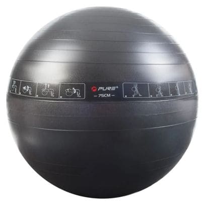 Pure2Improve Ballon d'exercice 75 cm Noir