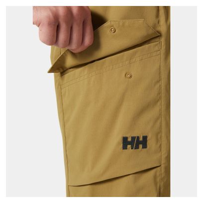 Helly Hansen Vista Hike Shorts Brown