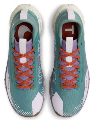 Chaussures Trail Nike Pegasus Trail 4 GTX Bleu Violet Femme