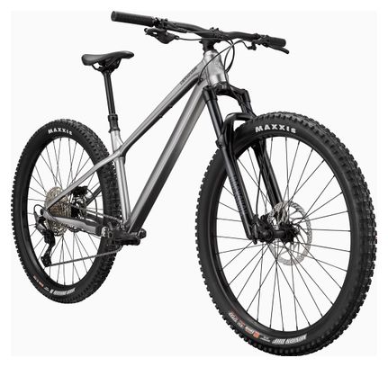 Cannondale Habit HT 1 Hardtail MTB Shimano Deore 12S 29'' Silber