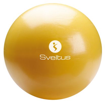 Ballon pédagogique boîte Sveltus