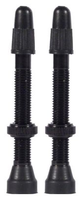 Paar WTB TCS Messing Presta ventielenZwart