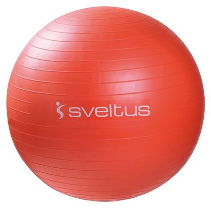 Gymball boîte Sveltus 55cm