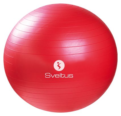 Gymball boîte Sveltus 65cm