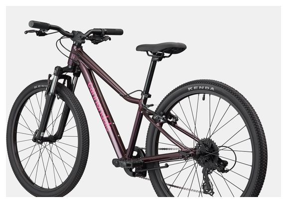Kinder-Mountainbike Cannondale Kids Trail 24 Shimano 8-Gang 24'' Royalviolett 2026