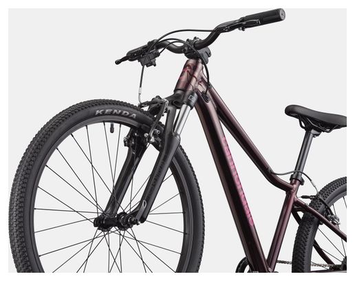 Kinder-Mountainbike Cannondale Kids Trail 24 Shimano 8-Gang 24'' Royalviolett 2026