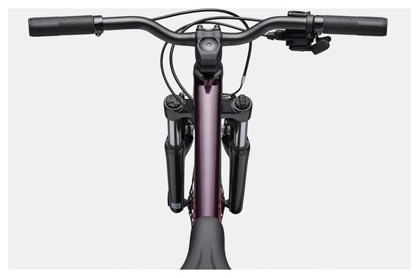 Kinder-Mountainbike Cannondale Kids Trail 24 Shimano 8-Gang 24'' Royalviolett 2026