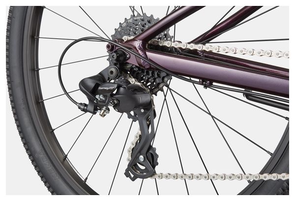 Kinder-Mountainbike Cannondale Kids Trail 24 Shimano 8-Gang 24'' Royalviolett 2026